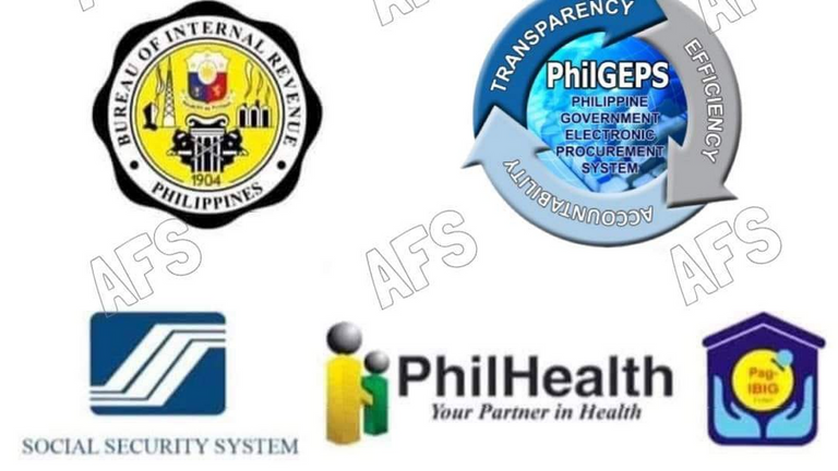 AFS Accounting and Auditing Services